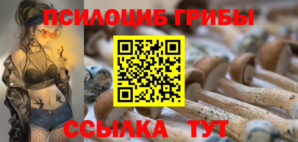 Семёнов  Псилоцибиновые грибы прущие грибы  Вход с VPN 