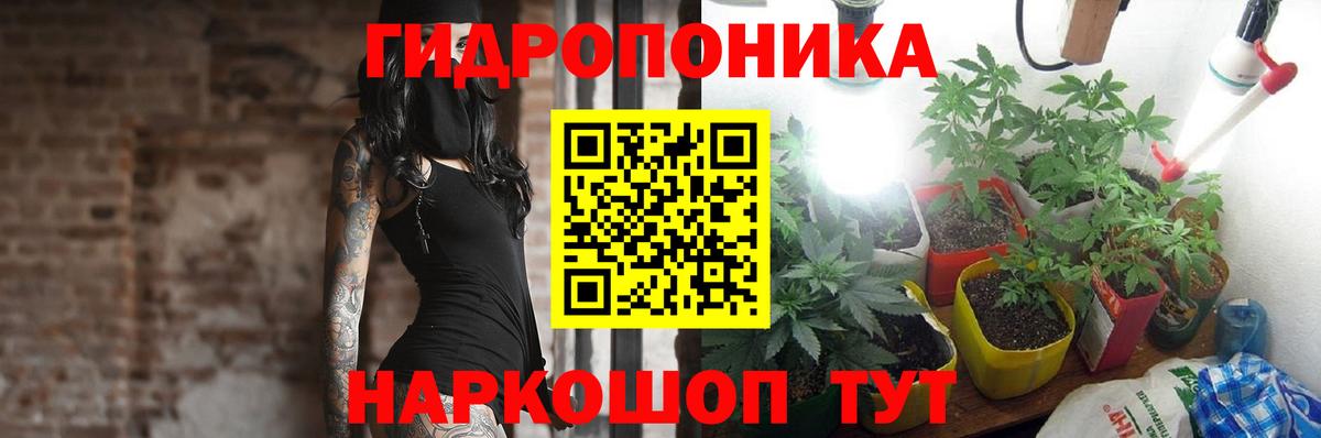 Конопля план  Бошки марихуана AK-47  Каннабис ГИДРОПОН  Семёнов  Вход с VPN 